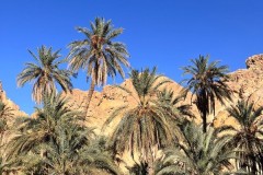 Tunisia-novembre-2025-8