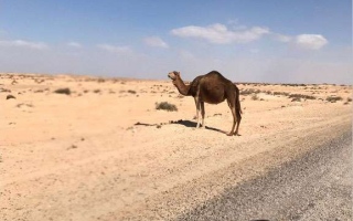 2018-10-tunisia-78