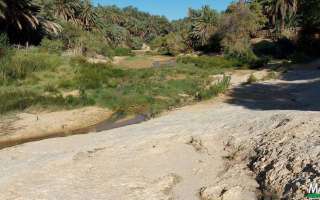 1-Tunisia-ottobre-22-32