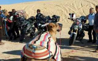 1-Tunisia-ottobre-22-37