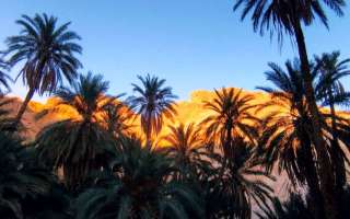 Tunisia-ottobre-2022-45