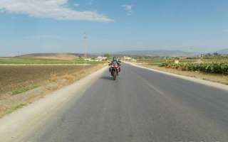 Tunisia_ottobre_2023_A.-8