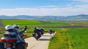 Scopri di più sull'articolo Sicilia: la Terra del Sole 2025